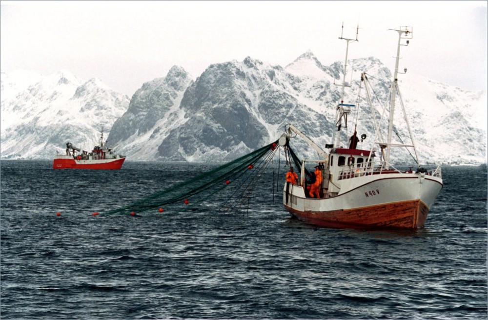 Норвежский экспорт морепродуктов