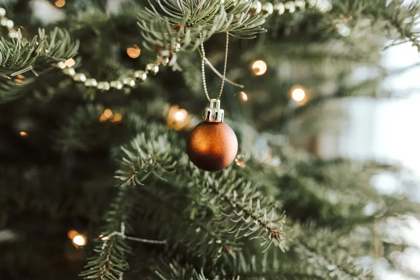 Как утилизировать рождественские елки в Норвегии