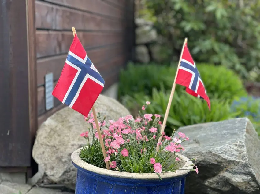 доступ к бесплатным урокам норвежского языка