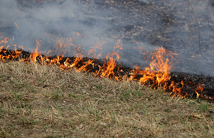 Желтое предупреждение об опасности возгорания травы и вереска в некоторых районах Норвегии