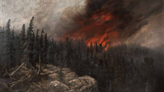На юге Норвегии повышается риск лесных пожаров