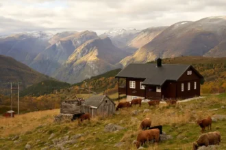покупать недвижимость в Норвегии