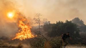 Норвежских туристов эвакуировали с острова Кос из-за лесного пожара