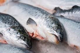 Экспорт морепродуктов из Норвегии в июле достиг 13 миллиардов крон
